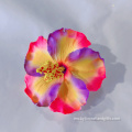 Pilihan Rambut Bunga Hibiscus Foam Hibiscus